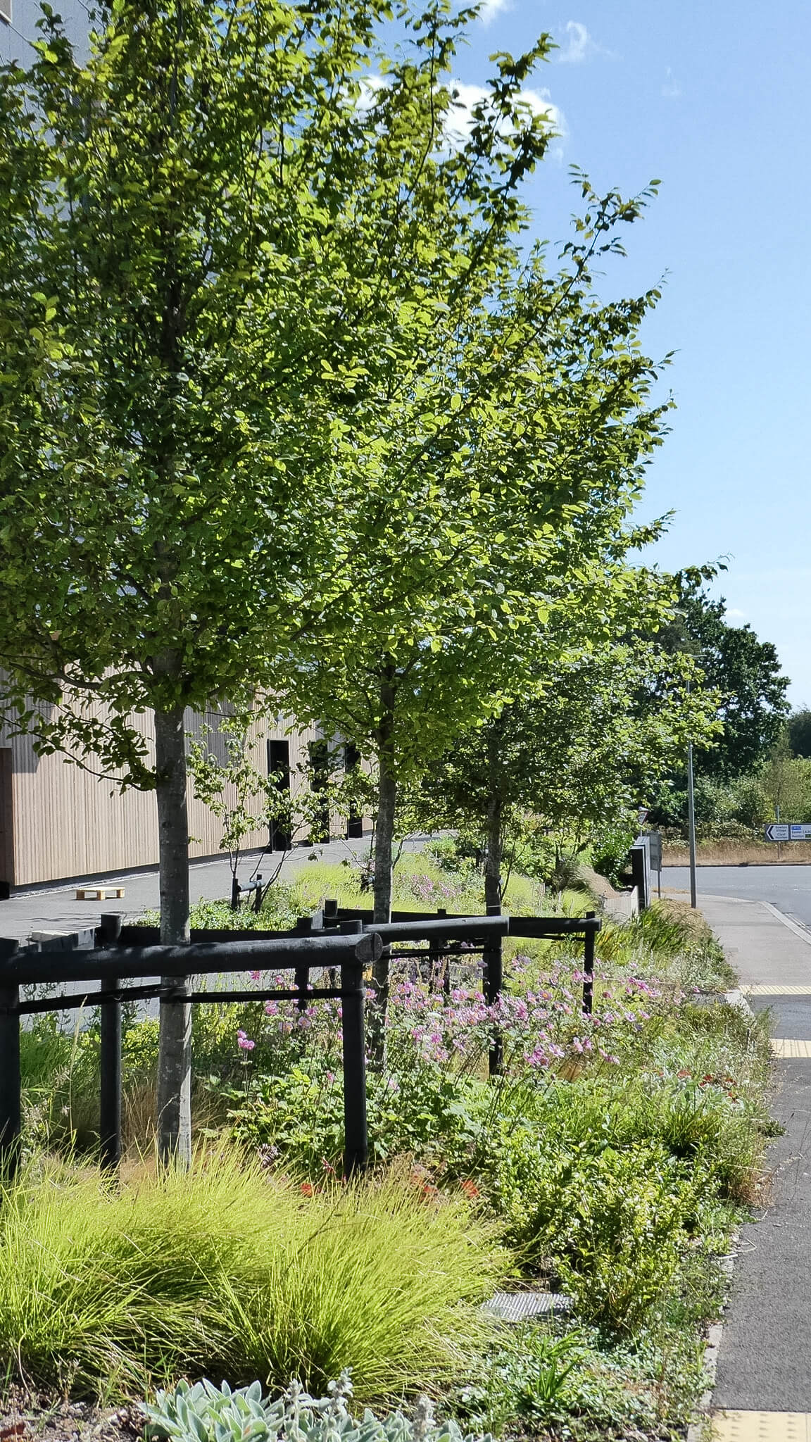 Student-built gardens presented at Sherford Skills Training Centre