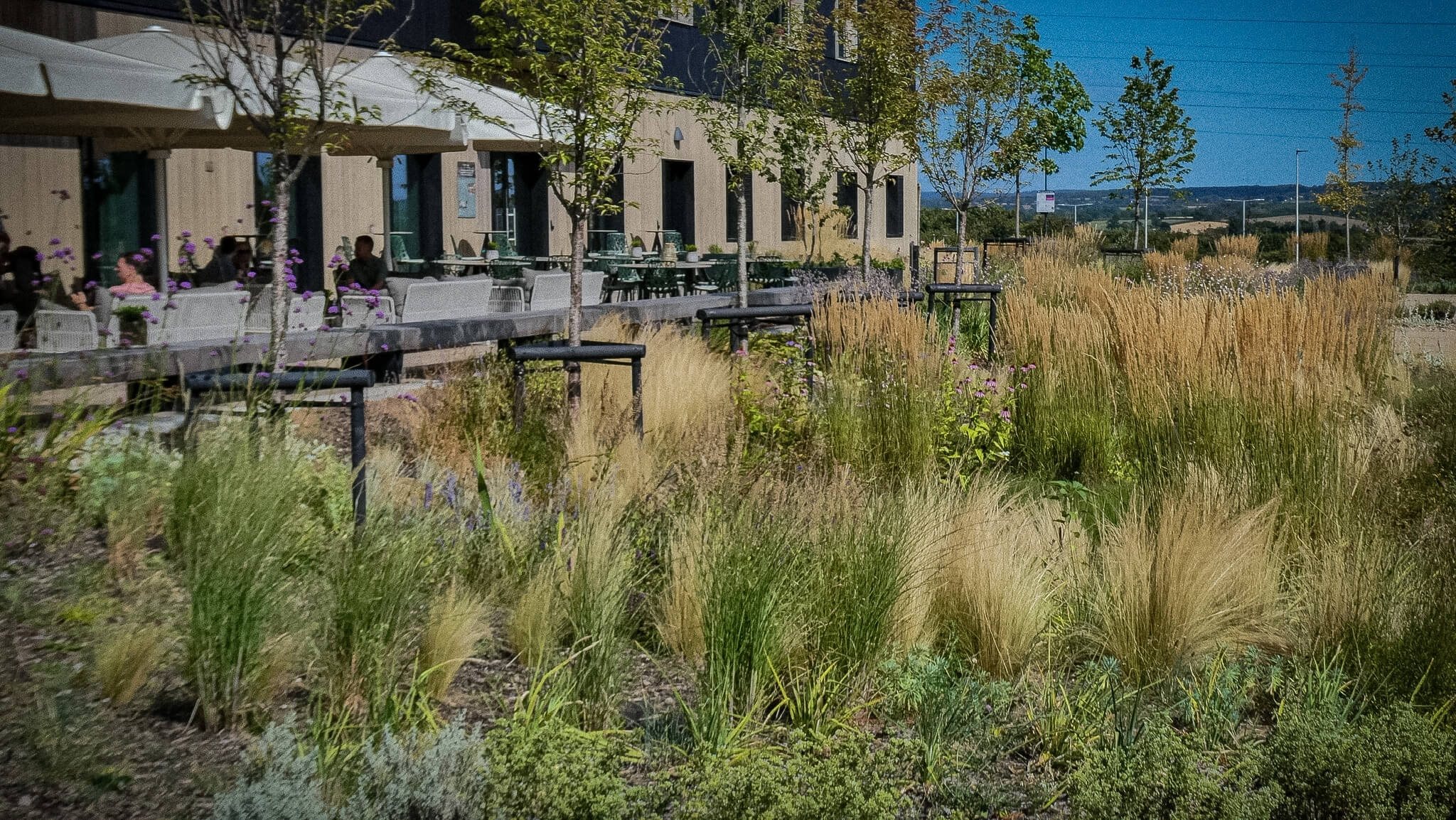 Terrace planting outside the hotel restaurant, voco Zeal Exeter